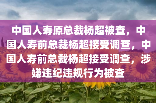 中国人寿原总裁杨超被查，中国人寿前总裁杨超接受调查，中国人寿前总裁杨超接受调查，涉嫌违纪违规行为被查