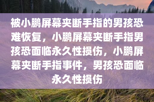 被小鹏屏幕夹断手指的男孩恐难恢复，小鹏屏幕夹断手指男孩恐面临永久性损伤，小鹏屏幕夹断手指事件，男孩恐面临永久性损伤