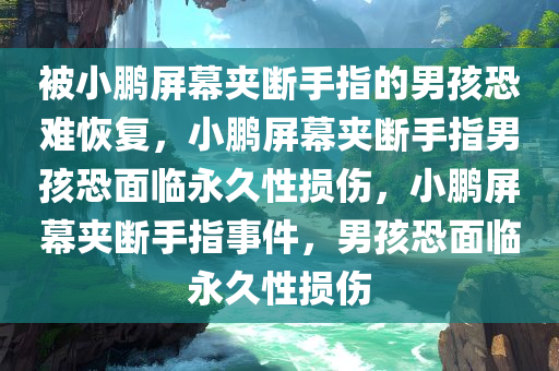 被小鹏屏幕夹断手指的男孩恐难恢复，小鹏屏幕夹断手指男孩恐面临永久性损伤，小鹏屏幕夹断手指事件，男孩恐面临永久性损伤