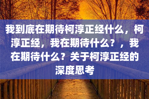 我到底在期待柯淳正经什么，柯淳正经，我在期待什么？，我在期待什么？关于柯淳正经的深度思考