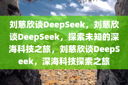 刘慈欣谈DeepSeek，刘慈欣谈DeepSeek，探索未知的深海科技之旅，刘慈欣谈DeepSeek，深海科技探索之旅