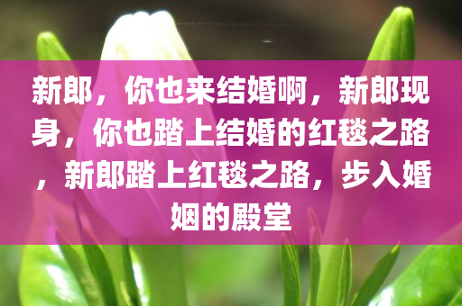 新郎，你也来结婚啊，新郎现身，你也踏上结婚的红毯之路，新郎踏上红毯之路，步入婚姻的殿堂