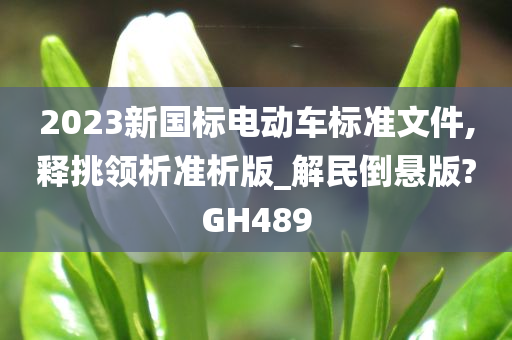 2023新国标电动车标准文件,释挑领析准析版_解民倒悬版?GH489
