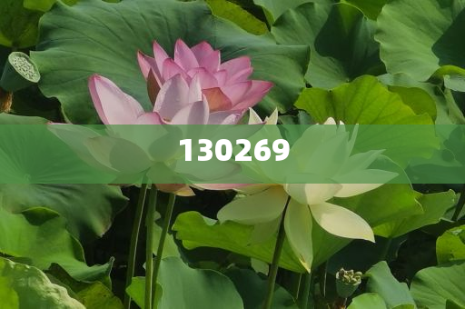2025春招季 上猎聘拿高薪offer商，2025春招季高薪offer攻略，上猎聘轻松求职，猎聘助力求职，2025春招高薪offer攻略与轻松求职秘籍