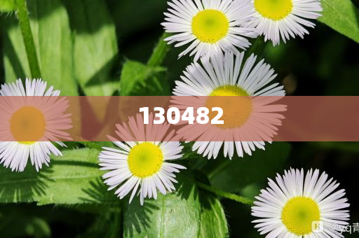 4月1日含义是81192，4月1日含义背后的秘密，揭秘数字81192与特殊事件关联