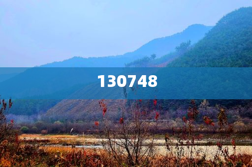 券商2024年分仓收入不足110亿元，券商2024年分仓收入不足百亿，行业格局变化下的挑战与机遇
