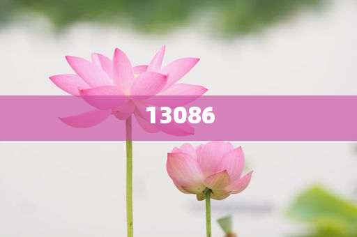 摆摊能卖什么食物呢视频,深度详析落实_ZXC版?HII7664