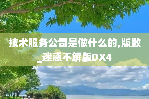 版数 第2页