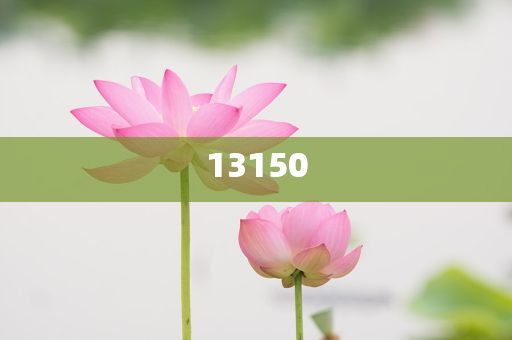 高中毕业证快速拿证办理流程图片大全,正品效率解释_精英版97768
