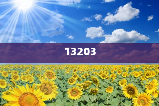 查询消费挂件,最新最新的全_DE版?HJ7676