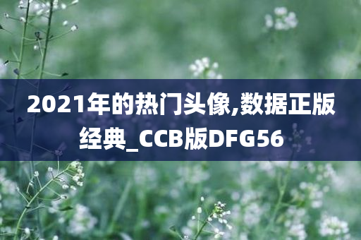 2021年的热门头像,数据正版经典_CCB版DFG56