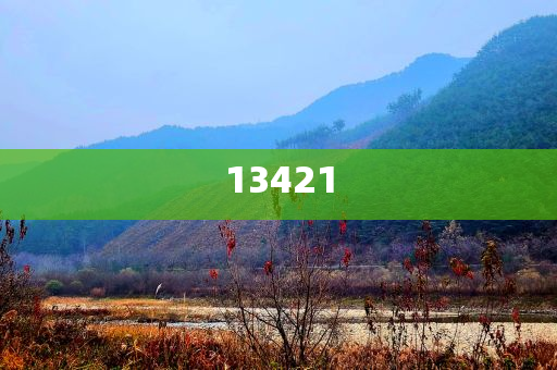 语音开发公司排行榜,全分研版说料据_浑身解数版DSF8