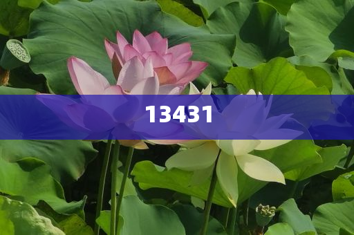 经济师报名2024官网入口,析究正解分战_解决版GHF87