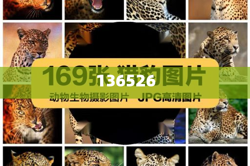 四川蒼溪一男子凌晨離家出走:精選解析、解釋與落實(shí)與警惕虛假宣傳-精選解析、解釋與落實(shí),抵制虛假的表象