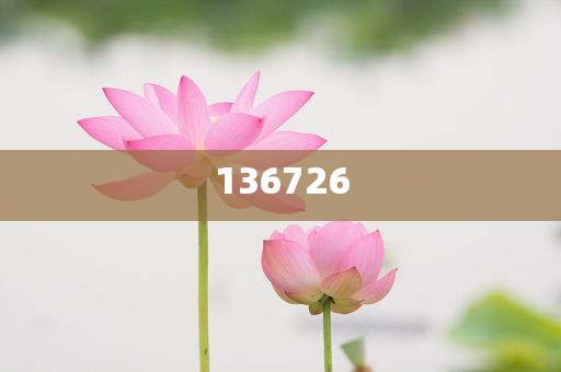宋祖兒狀態(tài)和小心不實的假廣告詞-全面釋義、解釋與落實與警惕虛假宣傳-全面釋義、解釋與落實