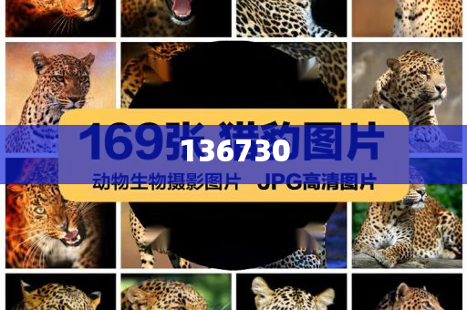 甲亢哥后悔没来绍兴和谨防夸大宣传-详细解答、解释与落实与警惕虚假宣传-详细解答、解释与落实今晚必出三肖2025_2025新澳门精准免费提供·精确判断