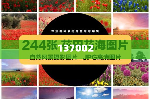 特朗普承認(rèn)對(duì)華關(guān)稅過(guò)高且“將大幅降低”,中方此前回?fù)簦好婪疥P(guān)稅已毫無(wú)理性,應(yīng)停止威脅訛詐|界面新聞 · 快訊