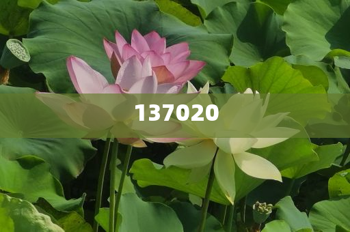 財(cái)政部在香港成功發(fā)行2025年第二期125億元人民幣國(guó)債|界面新聞 · 快訊