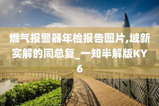 燃气报警器年检报告图片,域新实解的同总复_一知半解版KY6