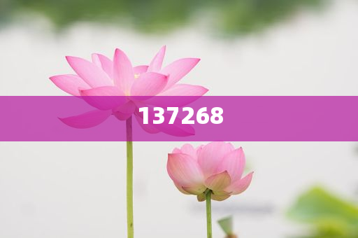 步长制药：一季度归母净利润同比增长169.49%|界面新今晚必出三肖2025_2025新澳门精准免费提供·精确判断闻 · 快讯