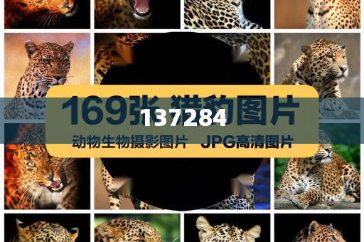 国内期货主力合约夜盘收盘涨跌互现，热卷涨超2%|界面新闻 · 快讯今晚必出三肖2025_2025新澳门精准免费提供·精确判断