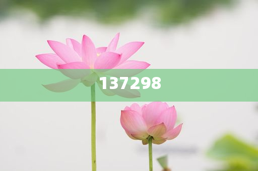 历史 第6页