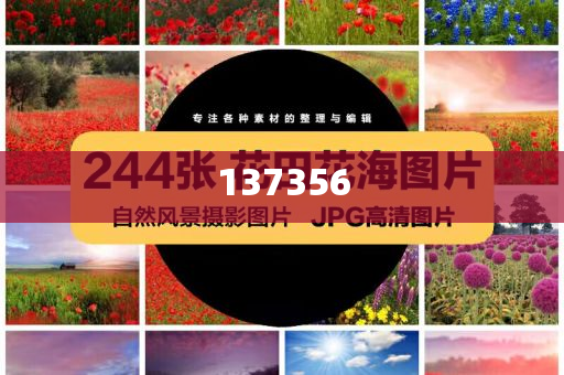 立訊精密：一季度凈利潤30.44億元，同比增長23.17%|界面新聞 · 快訊