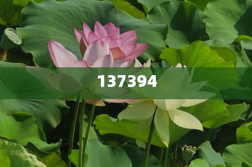 通化東寶修正2024年度業(yè)績預告,預計歸母凈利潤同比減少103.66%|界面新聞 · 快訊