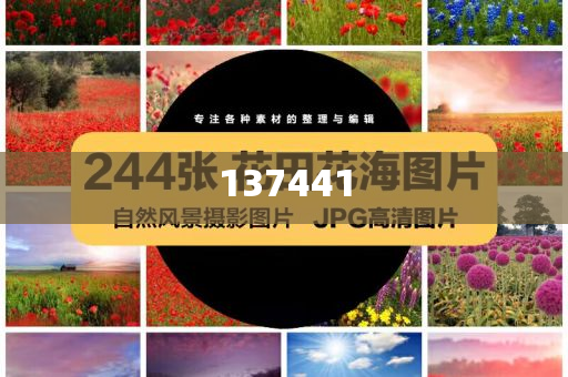 惠州至越南集裝箱航線開通,詳細(xì)解答、解釋與落實與警惕虛假宣傳-詳細(xì)解答、解釋與落實-謹(jǐn)防華而不實包裝