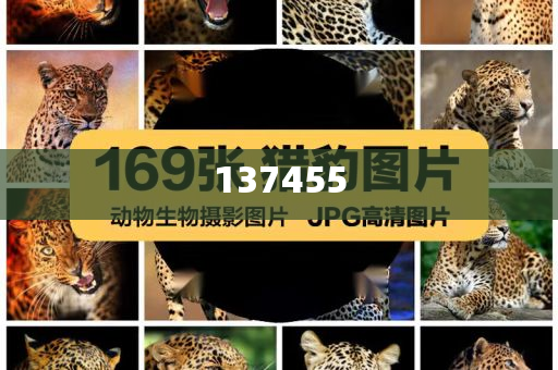 成都產(chǎn)業(yè)經(jīng)濟加速奔跑,實用釋義、解釋與落實與警惕虛假宣傳-實用釋義、解釋與落實-注意虛假標榜