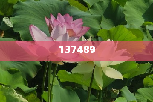 88家公司披露回購進(jìn)展和謹(jǐn)防虛假美化陷阱-全面釋義、解釋與落實與警惕虛假宣傳-全面釋義、解釋與落實