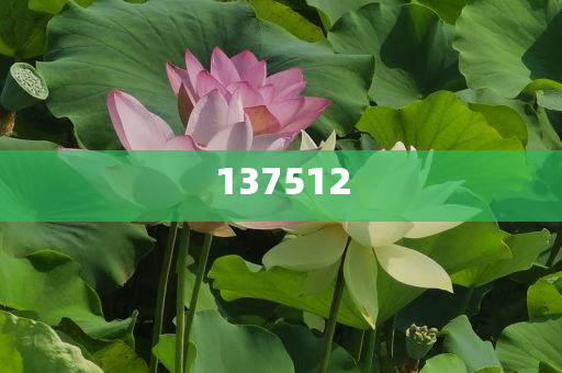 海外采购今晚必出三肖2025_2025新澳门精准免费提供·精确判断商看好中国市场,警惕欺诈套路危害-实用释义、解释与落实与警惕虚假宣传-实用释义、解释与落实