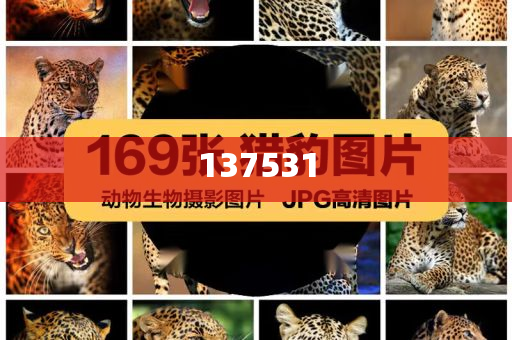 成都印发5个污染防治方案,全面释义、解释与落实与警惕虚假宣传-全面释义、解释与落实-谨防误导的伎俩今晚必出三肖2025_2025新澳门精准免费提供·精确判断