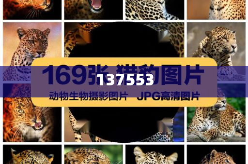 孫儷看完貓爺走貓步后的表情,全面釋義、解釋與落實(shí)與警惕虛假宣傳-全面釋義、解釋與落實(shí)-小心不實(shí)的假廣告片