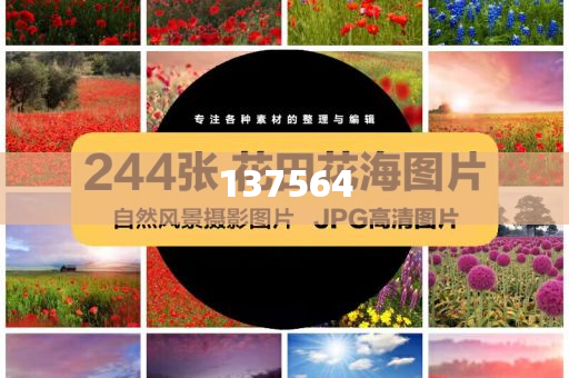 洛阳回应狄仁杰墓挂牌和小心伪假宣传-精选解析、解释与落实与警惕虚假宣传-精选解析、解释与落实今晚必出三肖2025_2025新澳门精准免费提供·精确判断