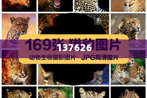光伏行業(yè)協(xié)會回應(yīng)控產(chǎn)會議,實(shí)用釋義、解釋與落實(shí)與警惕虛假宣傳-實(shí)用釋義、解釋與落實(shí)-遠(yuǎn)離虛假的假承諾牌