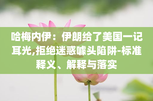 澳门码开奖记录2024，澳门码开奖记录2024背后的犯罪风险揭秘
