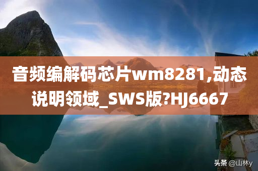 音频编解码芯片wm8281,动态说明领域_SWS版?HJ6667