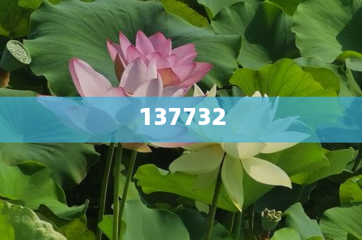 官方回應(yīng)女子踏入晶花池拍照和杜絕誤導(dǎo)性誘導(dǎo)-精選解析、解釋與落實(shí)與警惕虛假宣傳-精選解析、解釋與落實(shí)