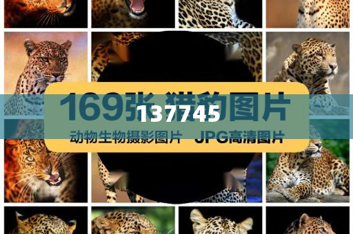 印巴连续四晚交火全面释义、解释与落实与警惕虚假宣传-全面释义、解释与落实-规避虚假的画皮术今晚必出三肖2025_2025新澳门精准免费提供·精确判断