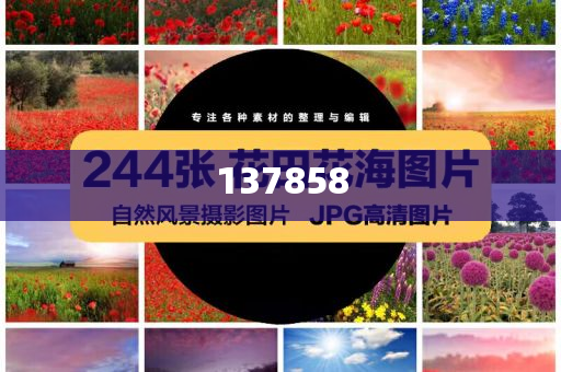 最能吃苦的一代人又回來(lái)了:詳細(xì)解答、解釋與落實(shí)與警惕虛假宣傳-詳細(xì)解答、解釋與落實(shí),規(guī)避誤導(dǎo)的假包裝閃