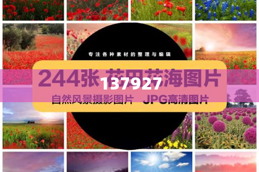 NBA球星罗斯中国行详细解答、解释与落实与警惕虚假宣传-详细解答、解释与落实-提防虚假造势