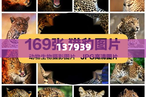 京东外卖超时20分钟以上免单-精选解析、解释与落实与警惕虚假宣传-精选解析、解释与落实,抵制欺诈的假诱导词