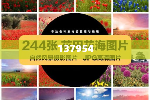 中国小伙喊话美国人民精选解析、解释与落实与警惕虚假宣传-精选解析、解释与落实,拒绝不实的假幌子布