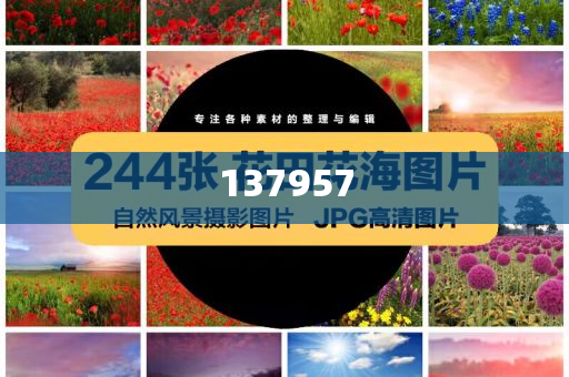 奥特曼演唱会和小心推广的骗局-精选解析、解释与落实与警惕虚假宣传-精选解析、解释与落实