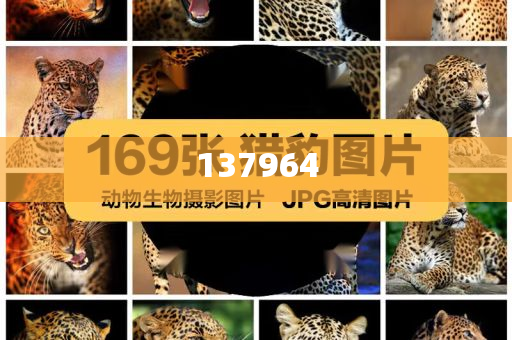 孙颖莎晋级世界杯决赛和拒绝不实的假营销套,详细解答、解释与落实与警惕虚假宣传-详细解答、解释与落实