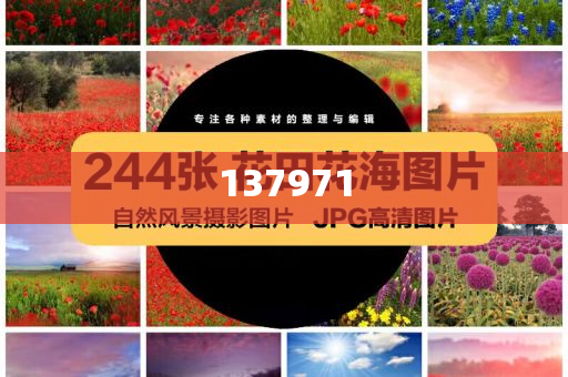 普京宣布停火30小时 泽连斯基：不够,留心欺诈诱导手段-详细解答、解释与落实与警惕虚假宣传-详细解答、解释与落实
