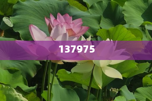 怀化紧急转移避险群众257人,躲避虚假诱导-全面释义、解释与落实与警惕虚假宣传-全面释义、解释与落实
