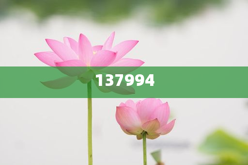 美驱逐13.9万名无证移民和小心虚假的陷阱,精选解析、解释与落实与警惕虚假宣传-精选解析、解释与落实