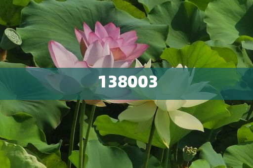 部分A股公司變更證券簡(jiǎn)稱和小心誤導(dǎo)宣傳風(fēng)險(xiǎn),全面釋義、解釋與落實(shí)與警惕虛假宣傳-全面釋義、解釋與落實(shí)